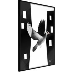 Arkiio Affisch White Dove [Poster] 20x30 Poster